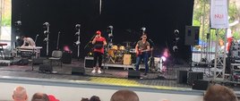 Koncert na pikniku NCK