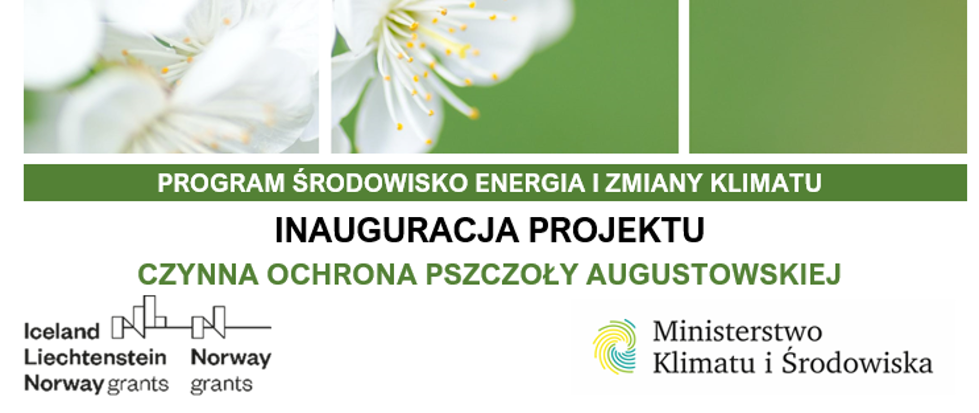 Uroczysta inauguracja projektu mającego na celu czynną ochronę pszczoły augustowskiej