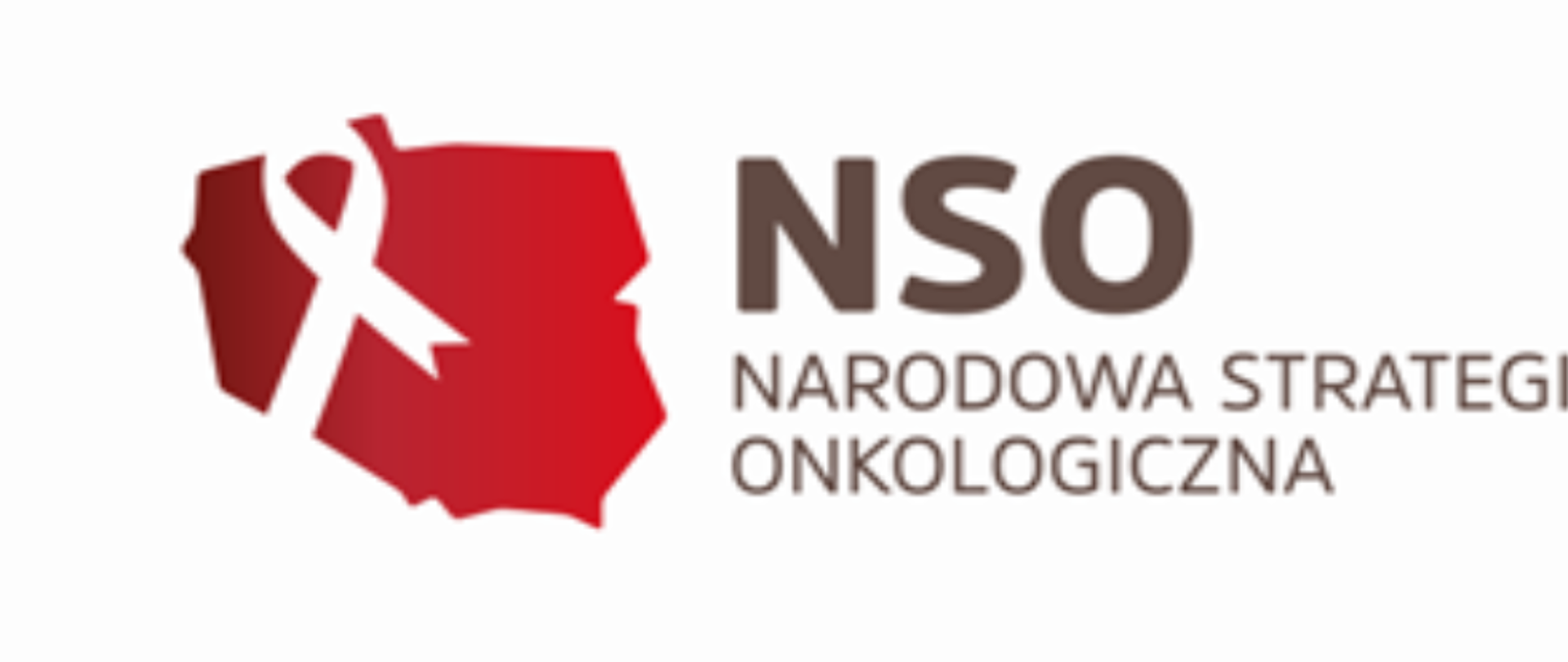 logo nso