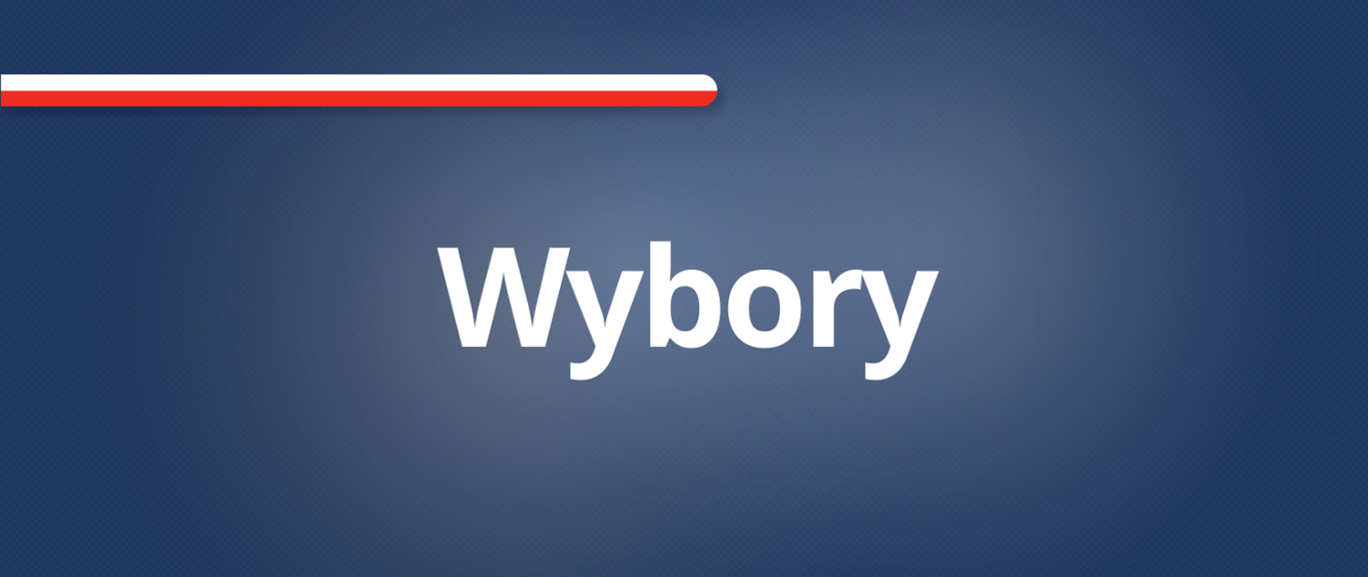 Wybory_PE_2024