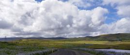 wizyta w ramach FWD, Islandia droga, autor J. Krogulec