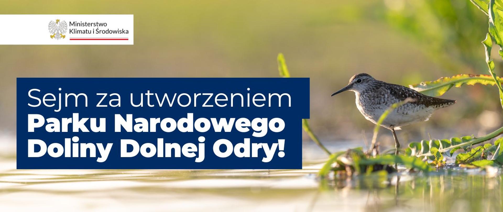 Projektowy Park Narodowy Doliny Dolnej Odry