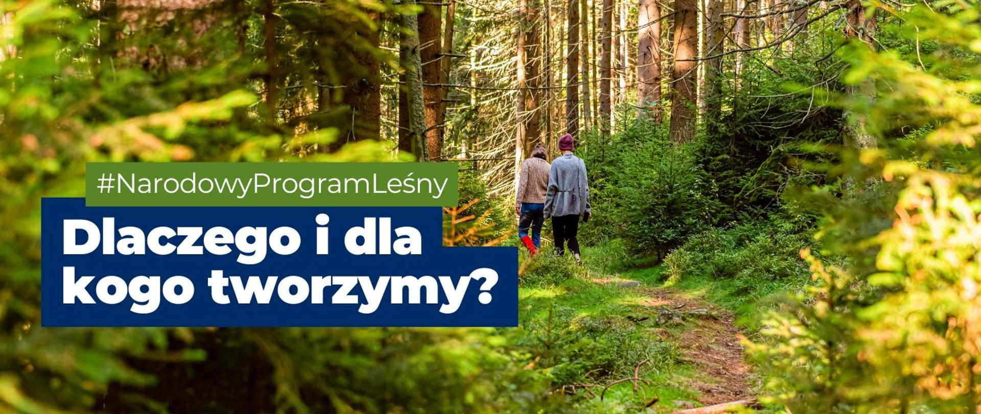 na zdjęciu widnieje napis: #NarodowyProgramLeśny, Dlaczego i dla kogo tworzymy? 