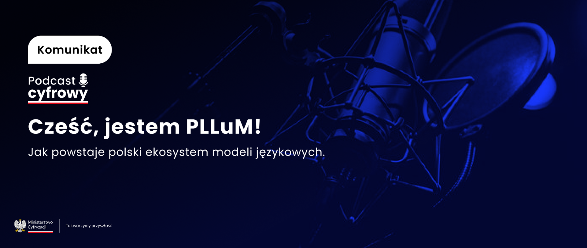 Cześć, jestem PLLuM! Jak powstaje polski ekosystem modeli językowych?