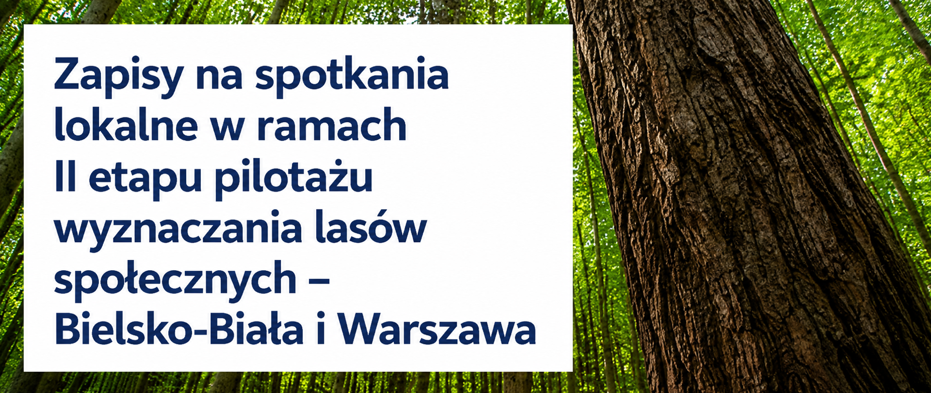 zapisy_na_spotkanie_lowfs