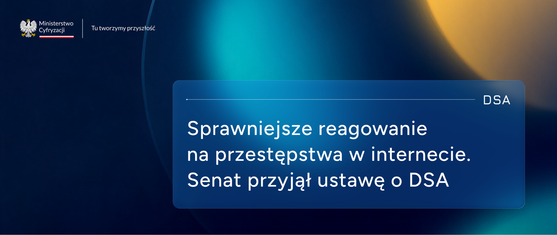 Senat przyjął ustawę o DSA