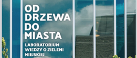 Od drzewa do miasta: laboratorium wiedzy o zieleni miejskiej
