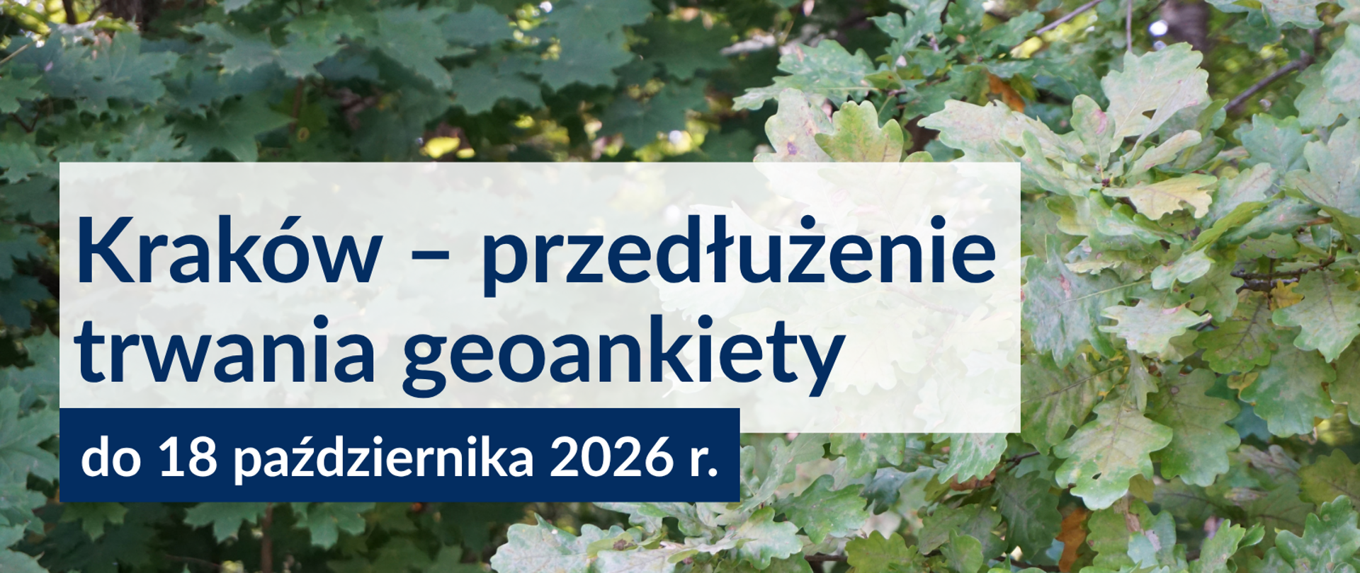 Kraków – wydłużono termin udziału w geoankiecie dotyczącej lasów społecznych