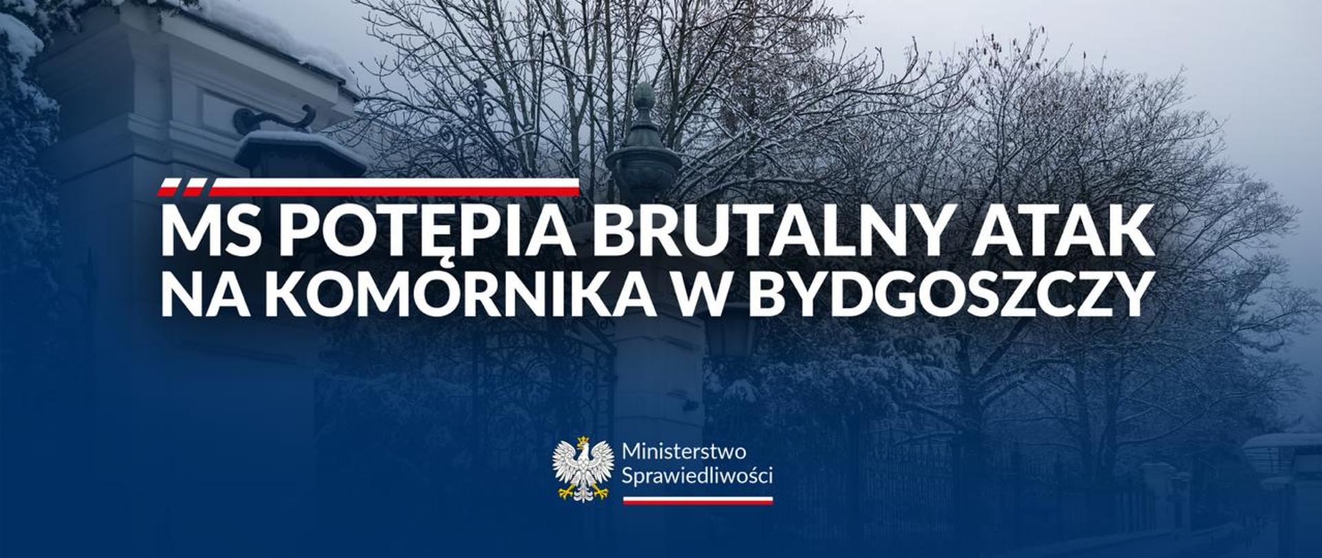 Grafika
