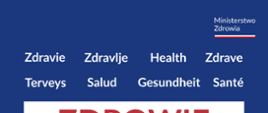 Infografika - słowniczek