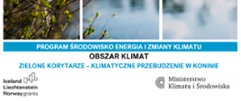ZIELONE KORYTARZE MIEJSKIE – KLIMATYCZNE PRZEBUDZENIE W KONINIE