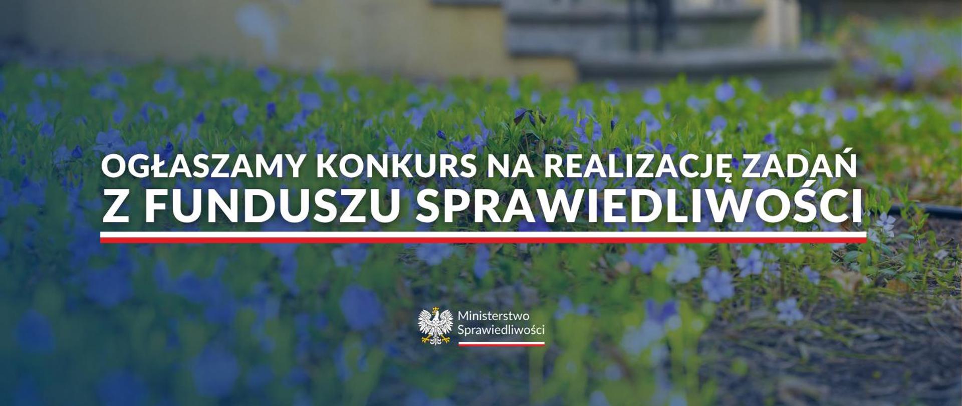 Grafika FS