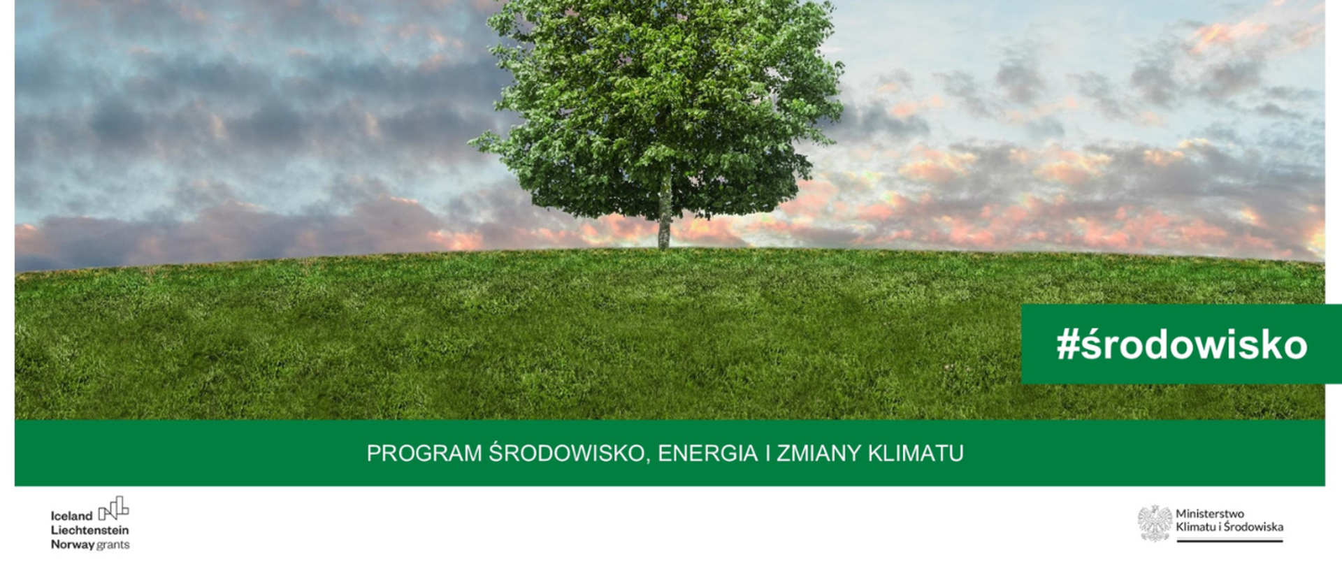 Zielone wzgórze z okazały drzewem na środku.