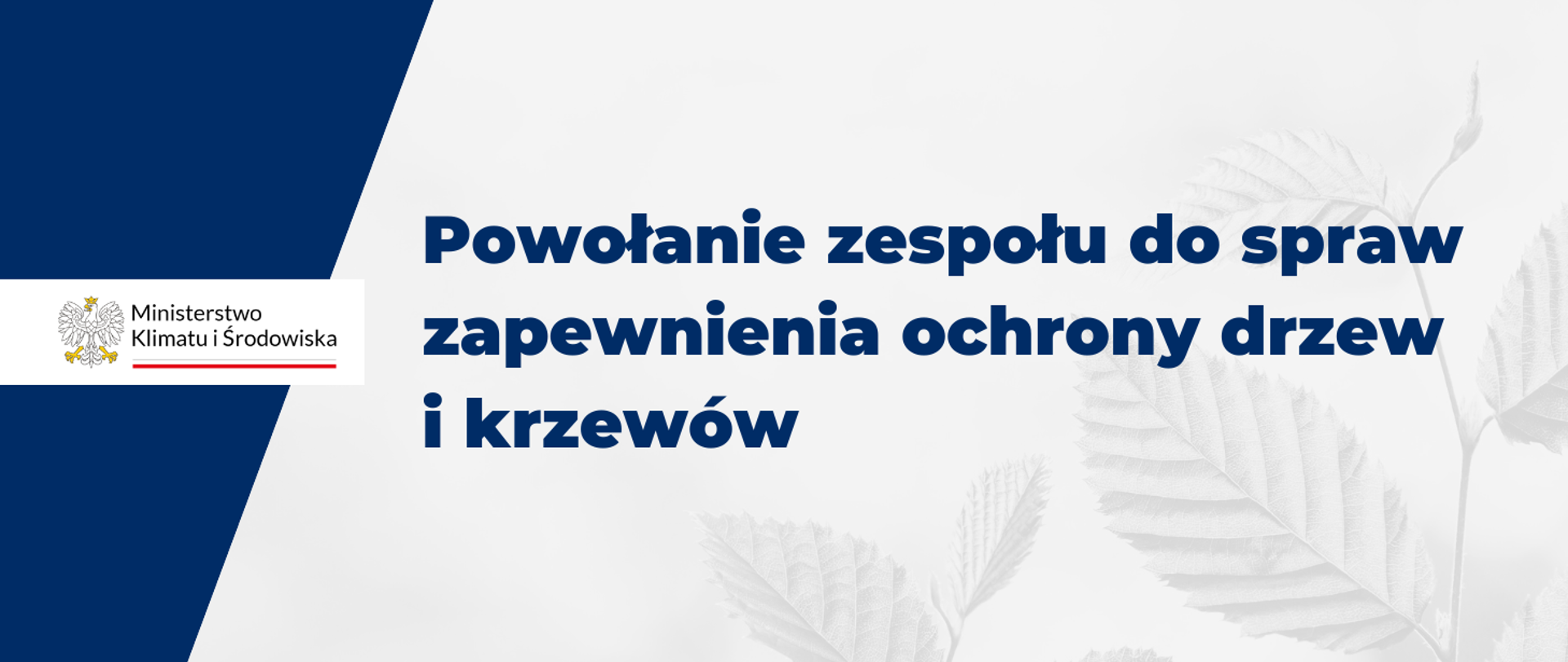 Powołanie zespołu do spraw zapewnienia ochrony drzew i krzewów 