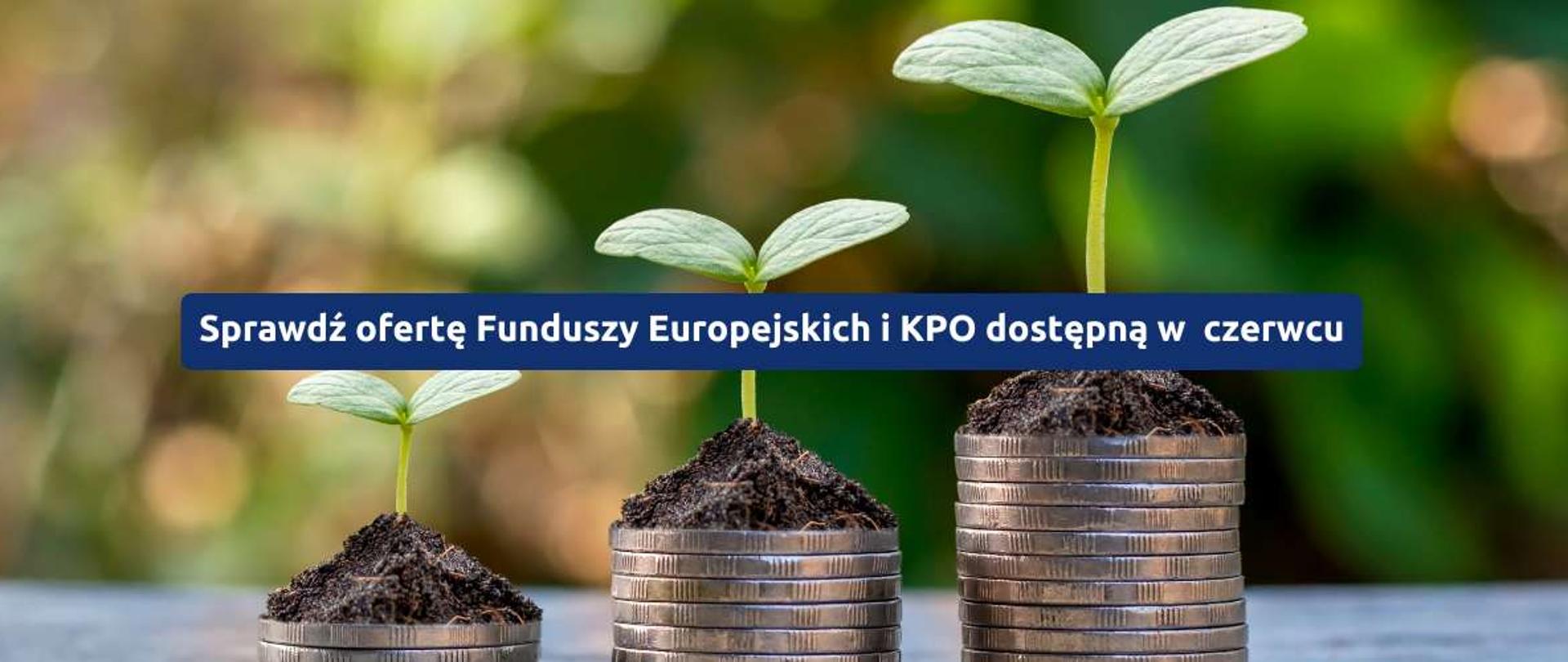 oferta-czerwiec