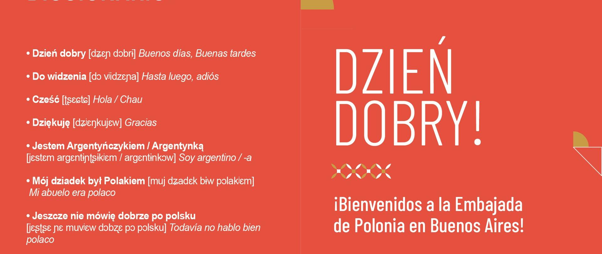 folleto_01tapa_24