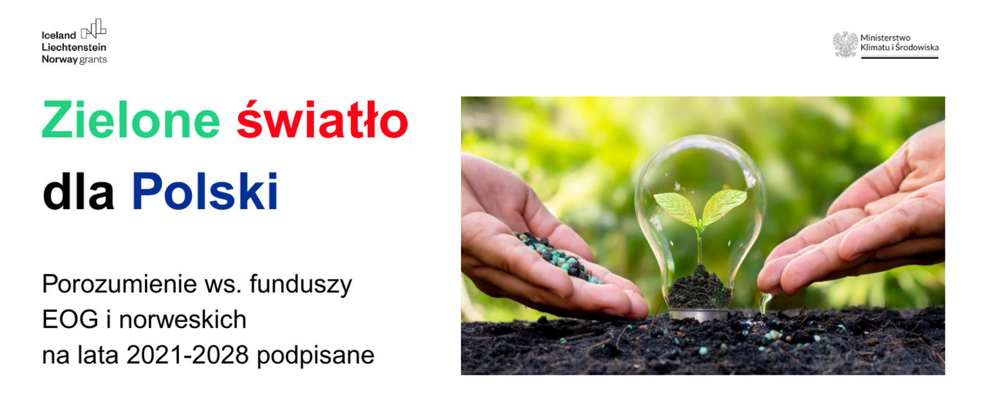 dwie dłonie i żarówka