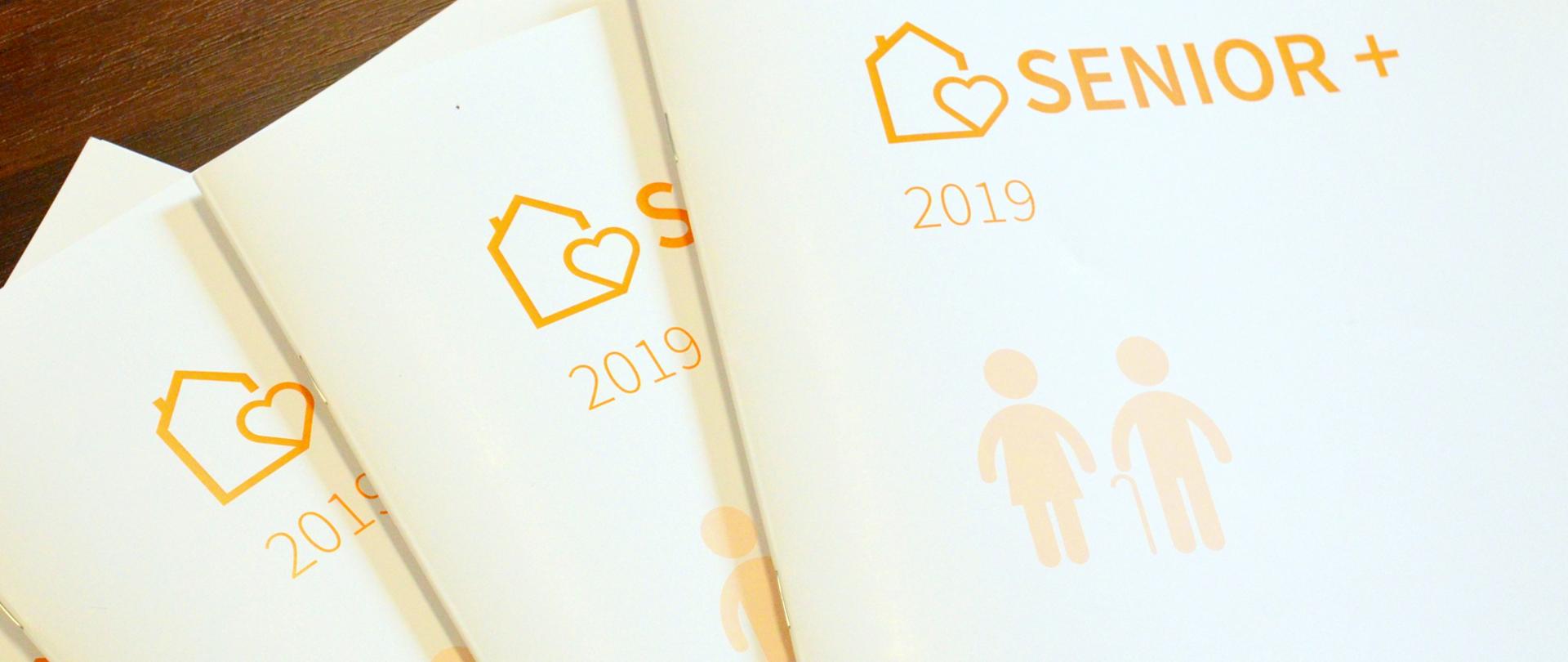 Raport Senior+ 2019