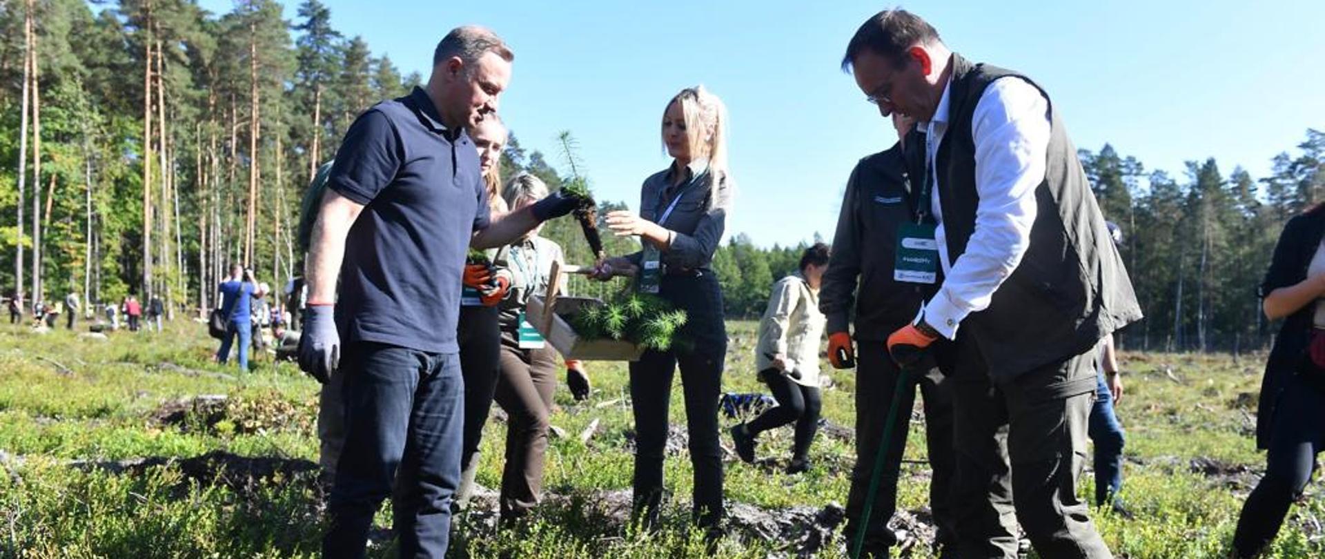 Wiceminister Edward Siarka podczas akcji #sadziMY z udziałem Pary Prezydenckiej.