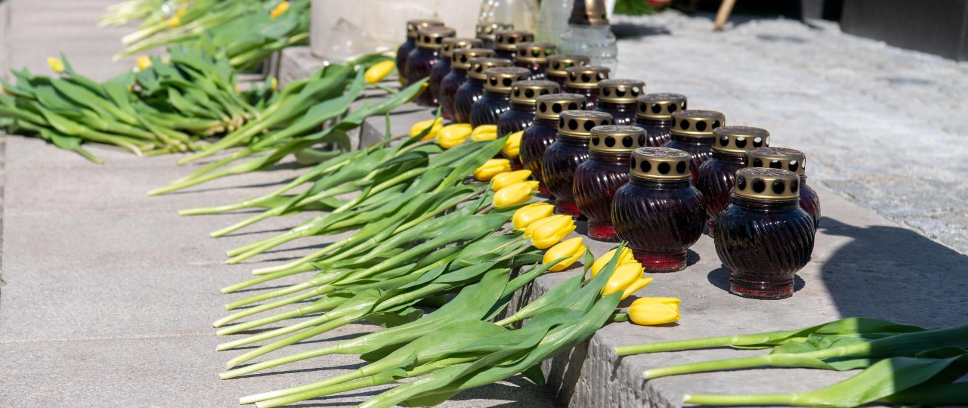 Tulipany