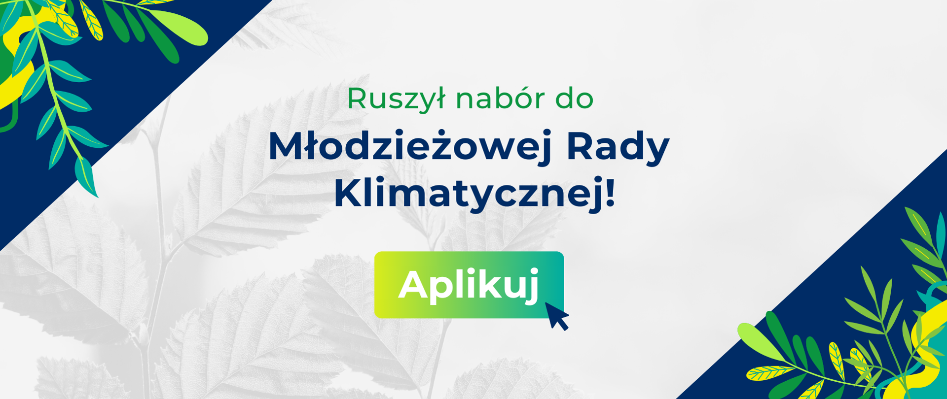 Baner na jasnym tle napis Ruszył nabór do Młodzieżowej Rady Klimatycznej