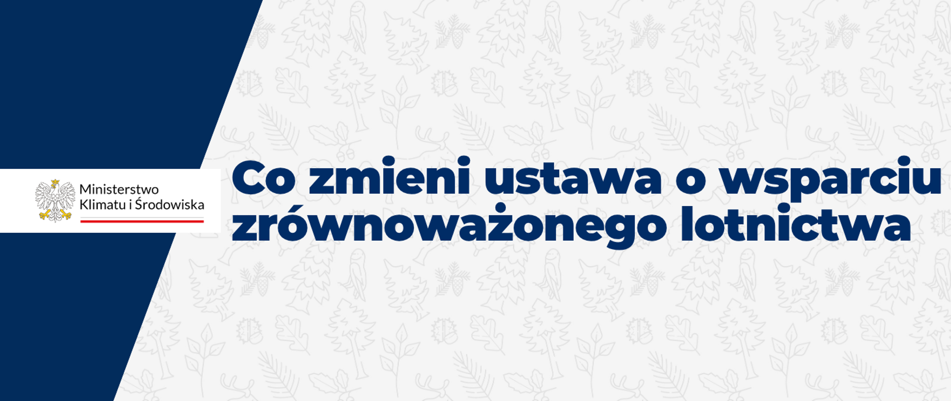 Co zmieni ustawa o wsparciu zrównoważonego lotnictwa
