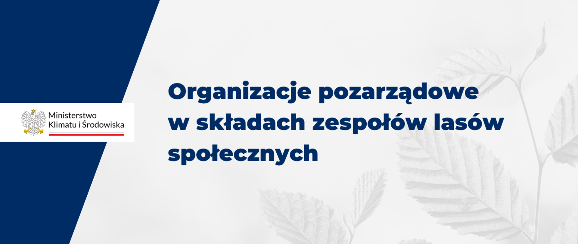 Organizacje pozarządowe w składach zespołów lasów społecznych