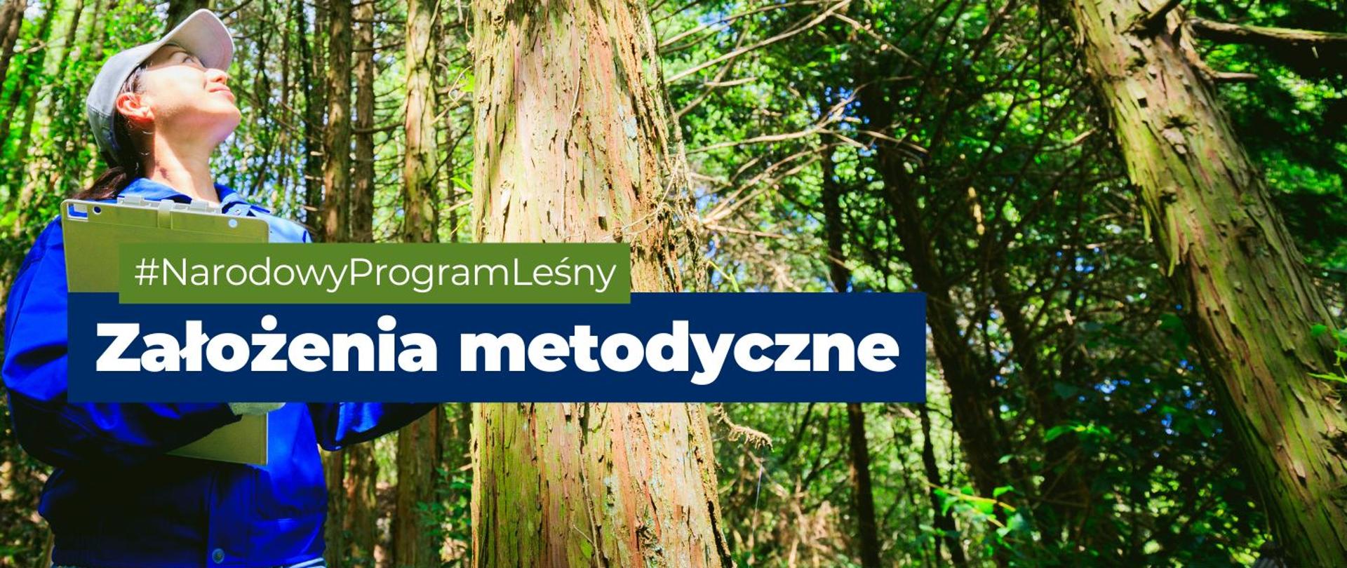 na zdjęciu widnieje kobieta, która przygląda się drzewom i spisuje o nich informacje. Na pierwszym planie widnieje napis: #NarodowyProgramLeśny Założenia metodyczne. 