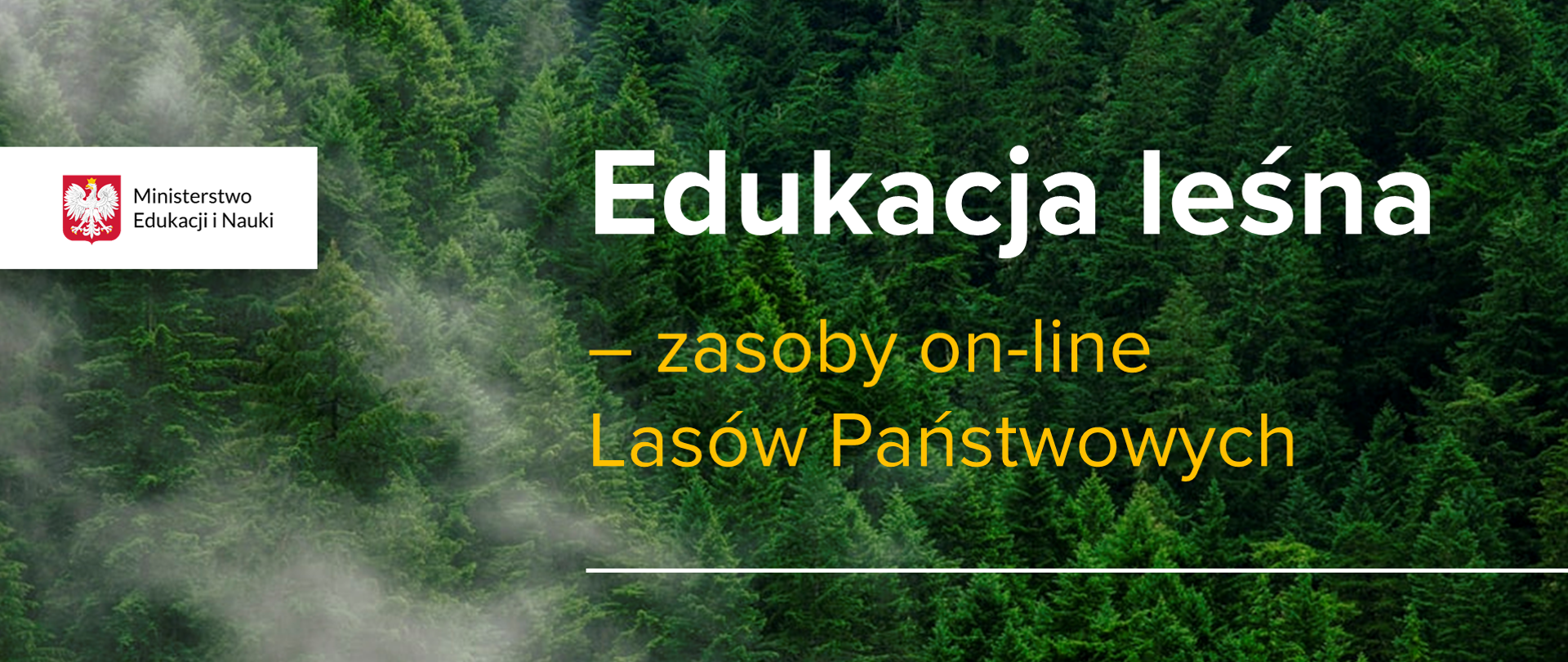 Zdjęcie z lotu ptaka na zamglony las. Po lewej stronie logotyp Ministerstwa Edukacji i Nauki po prawej Napis edukacja leśna - zasoby on-line Lasów Państwowych. Pod napisem kreska. 