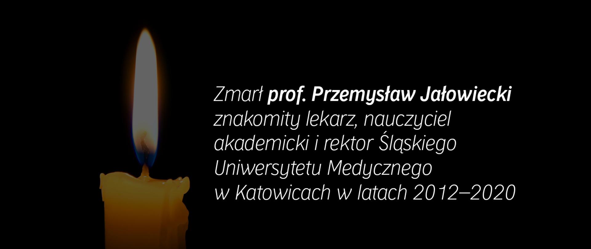 grafika3
