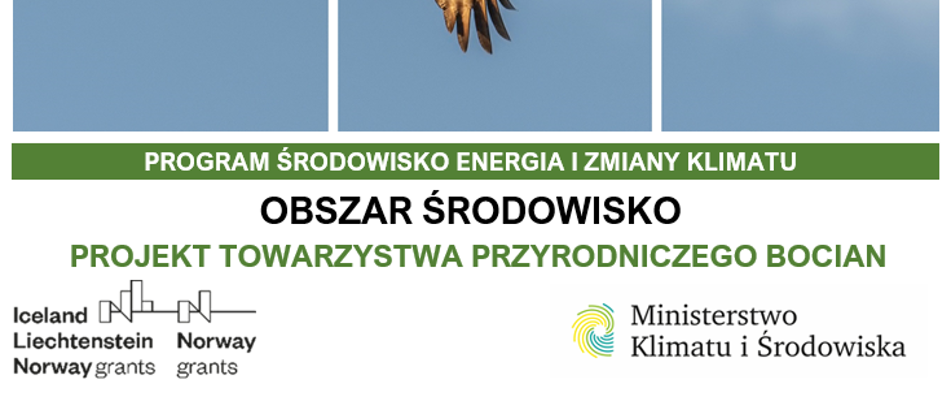 Realizacja_Krajowego_Programu_Ochrony_Błotniaka_Łąkowego_mf_eog