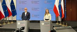 briefing prasowy nt. opieki okołoporodowej