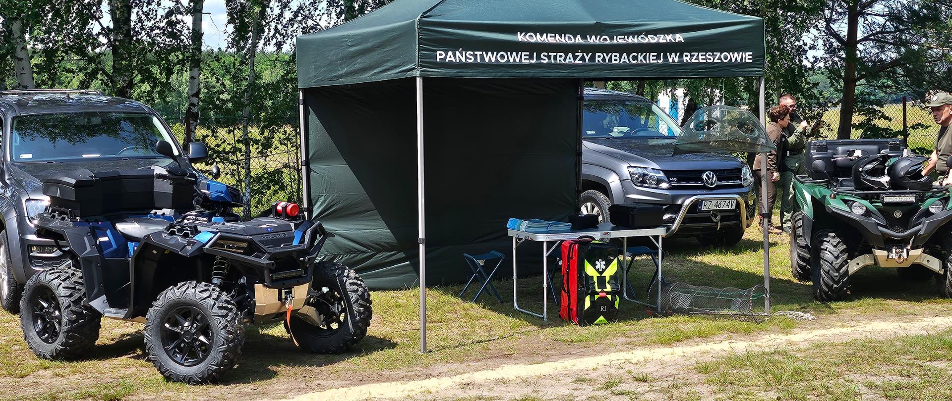 Aktywni błękitni