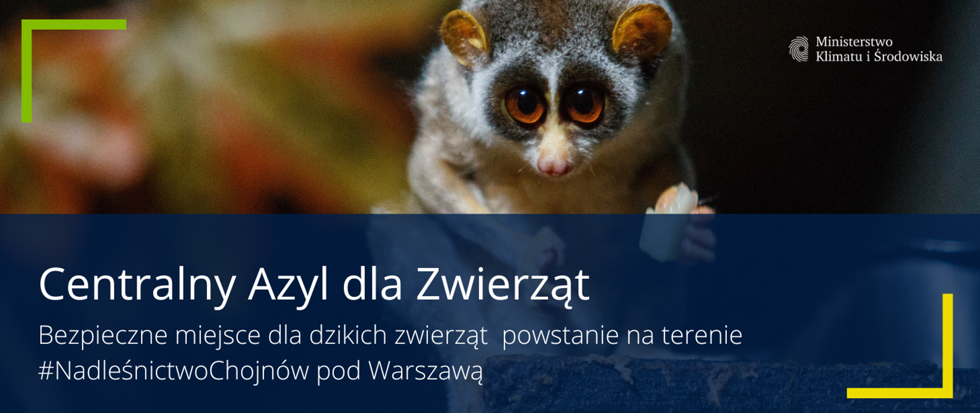 Napis Centralny Azyl dla Zwierząt