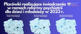 grafika nt. inwestycji w psychiatrię
