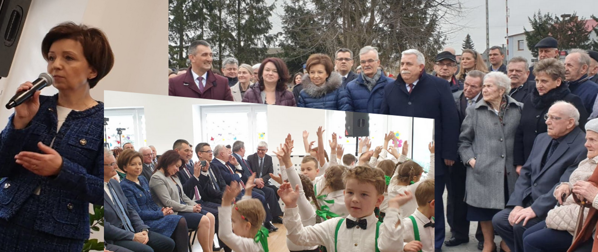 Błotnica1