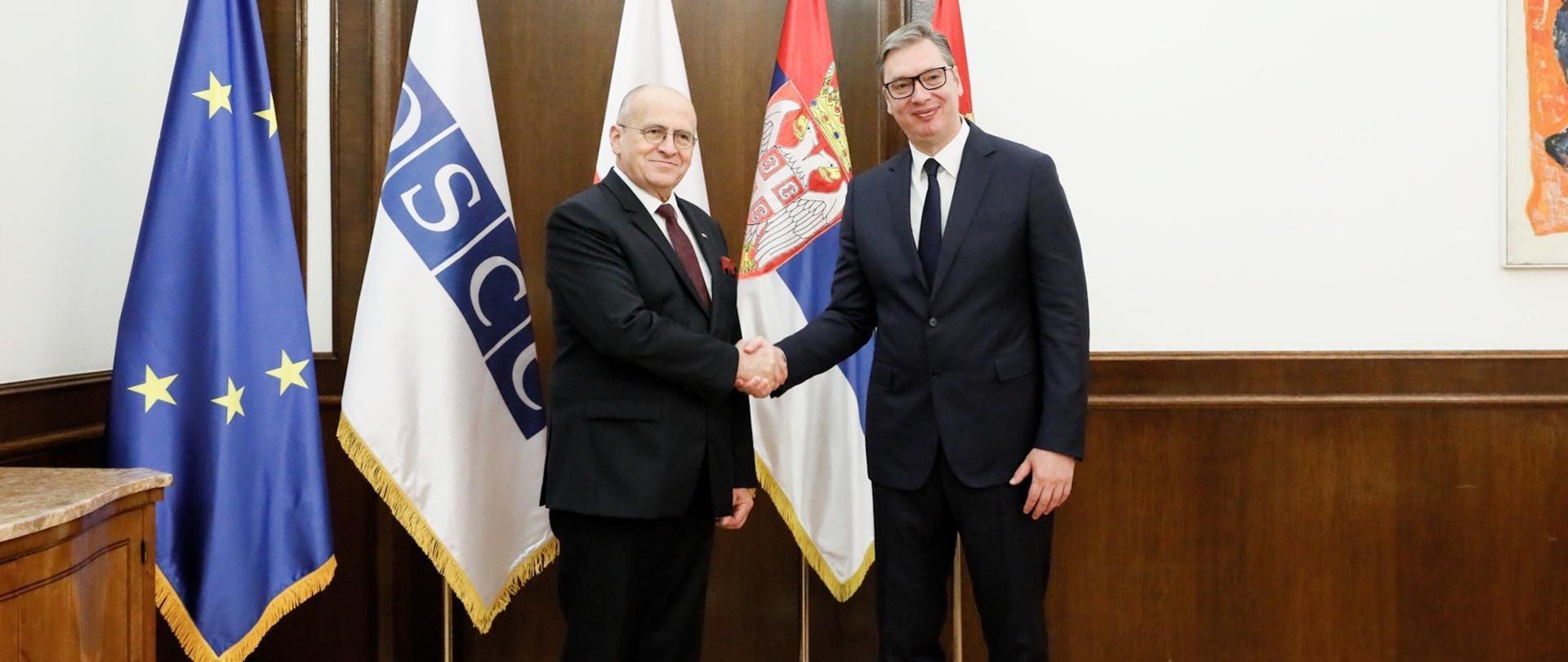 RauVucic