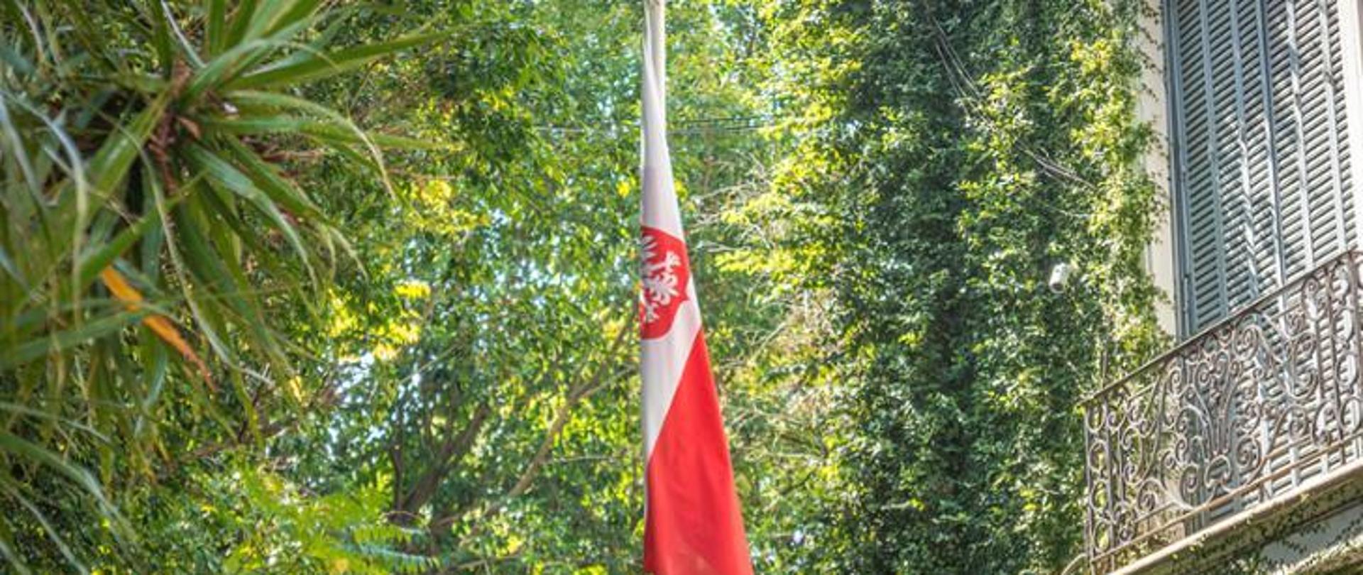 Dyżur konsularny 