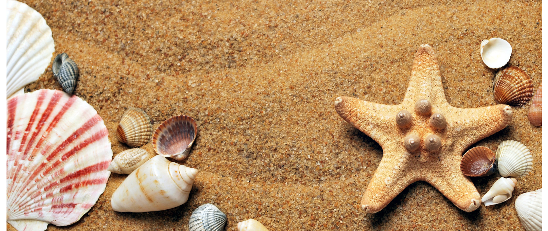 Zdjęcie ilustrujące plażę