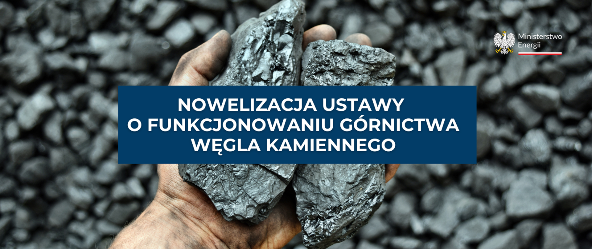 Nowelizacja_grafika