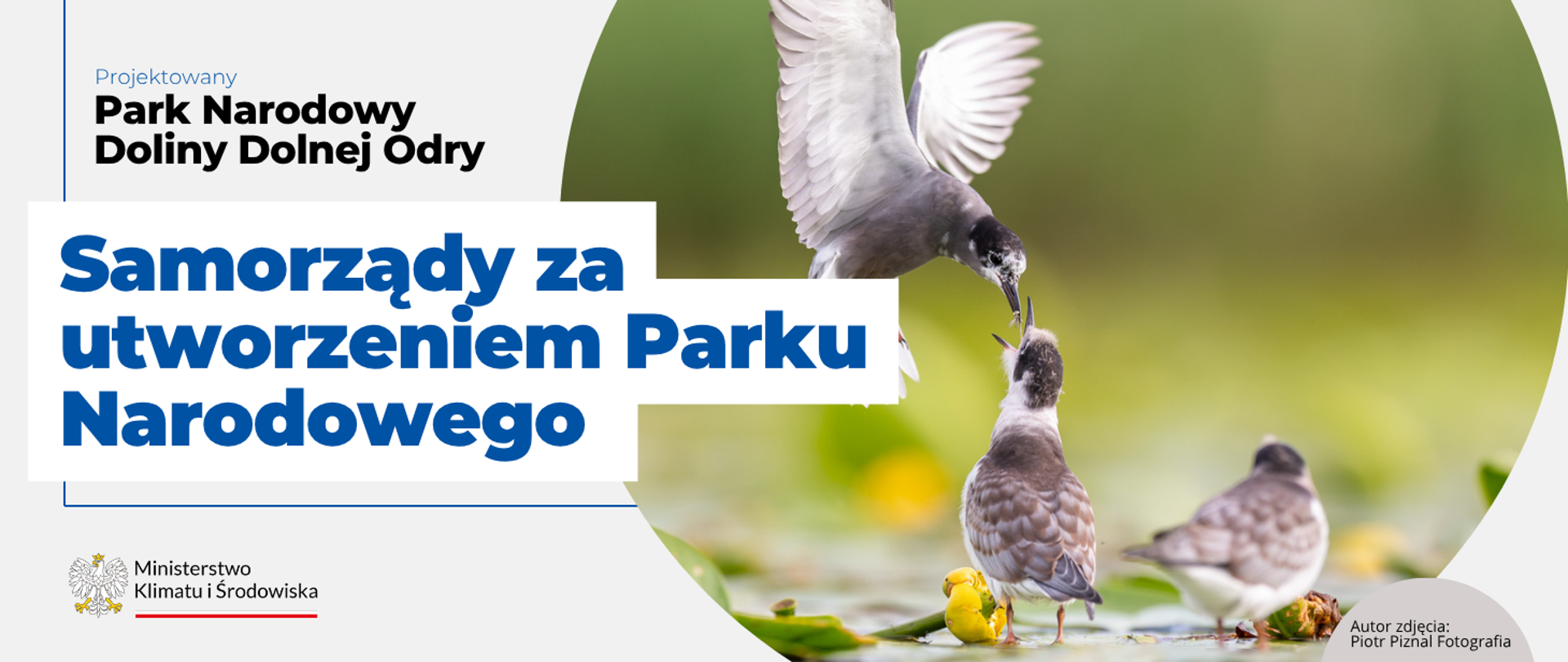 Grafika poglądowa z napisem - Samorządy za utworzeniem Parku Narodowego