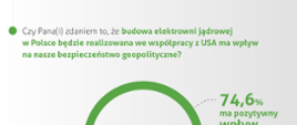 Wyniki badania - kampania "Poznajcie Atomickich"