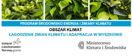 Łagodzenie_zmian_klimatu_i_adaptacja_do_ich_skutków_w_Wyszkowie_MF_EOG