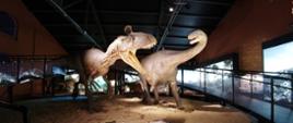 Wiceminister Dziadzio na otwarciu odnowionej wystawy paleontologicznej w Starachowicach