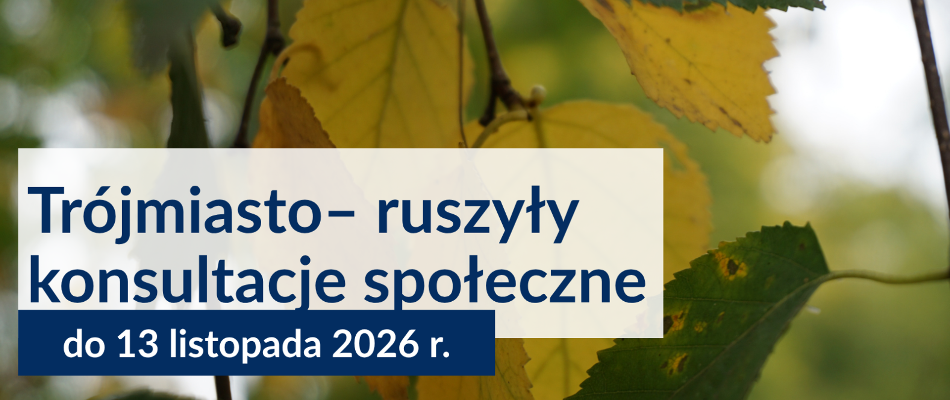 35_Trójmiasto_konsultacje_społeczne