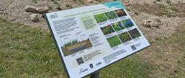 Projekt MF EOG Między suszą a powodzią. Błękitno-zielona infrastruktura w gminie Leśna
