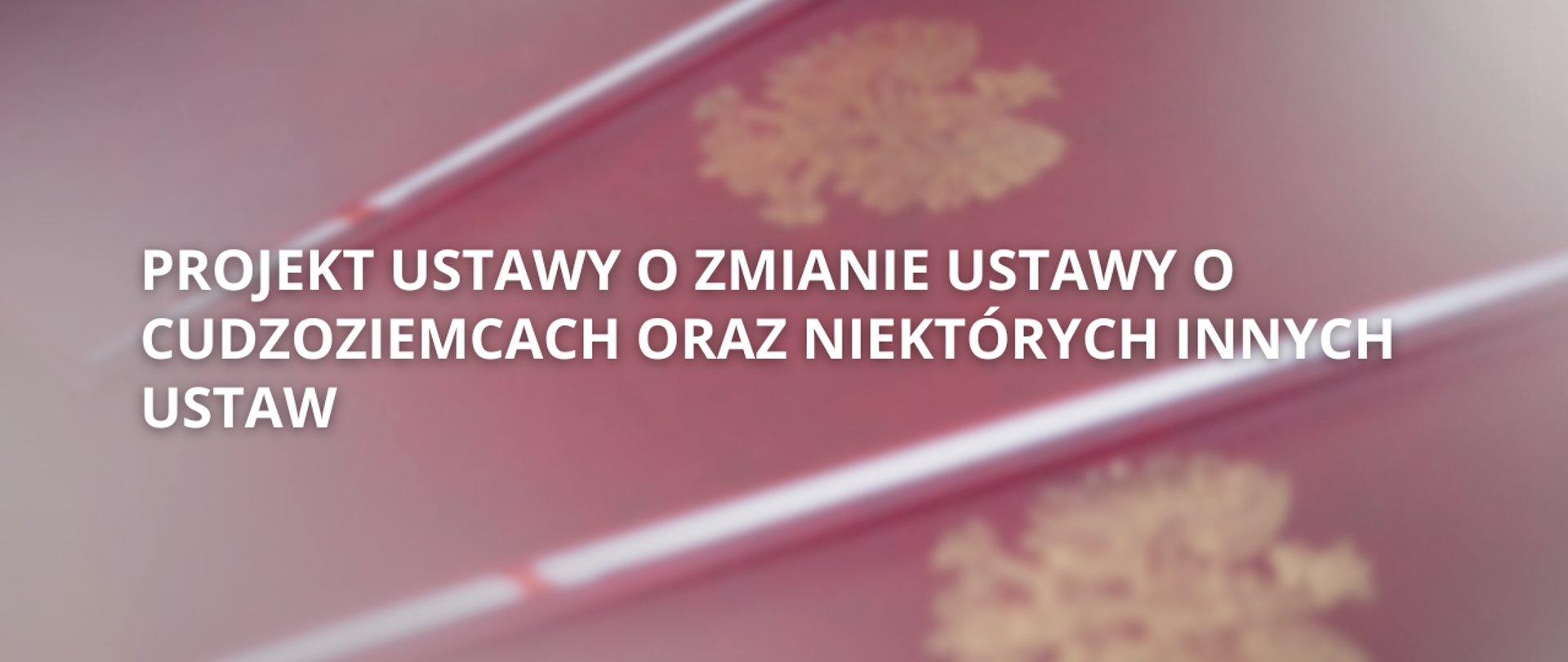Projekt ustawy o zmianie ustawy o cudzoziemcach oraz niektórych innych ustaw
