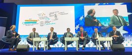 Rola sportu zawodowego i kultury fizycznej w społecznym i gospodarczym rozwoju Polski