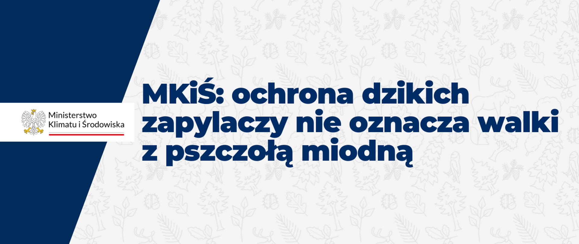 MKiŚ: ochrona dzikich zapylaczy nie oznacza walki z pszczołą miodną