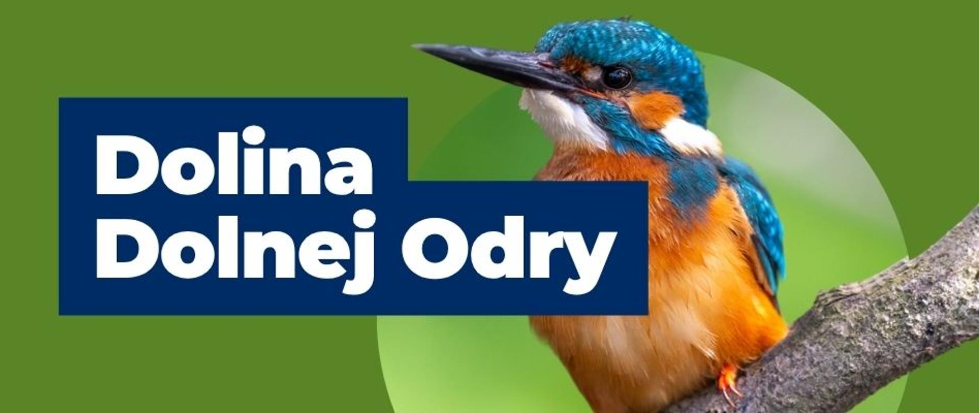 baner Dolina Dolnej Odry